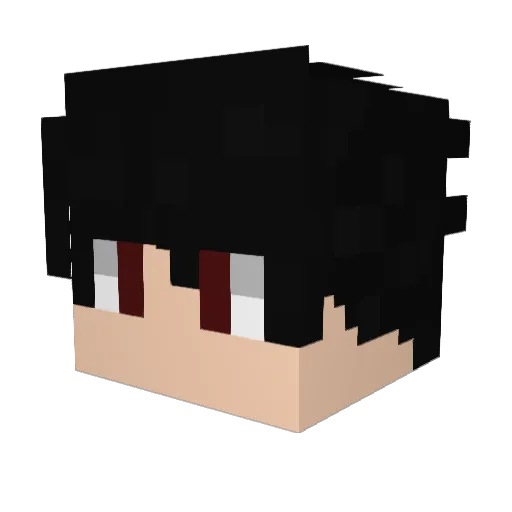 nokanCAPOTADO Minecraft avatar head, 3D render