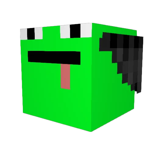 nokizaru Minecraft avatar head, 3D render