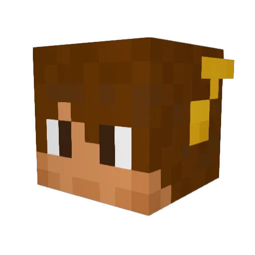 nolan2719 Minecraft avatar head, 3D render
