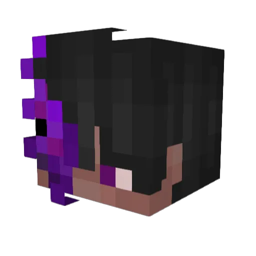nolan45789 Minecraft avatar head, 3D render