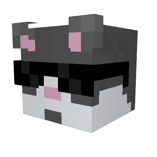nolanclem11 Minecraft avatar head, 3D render