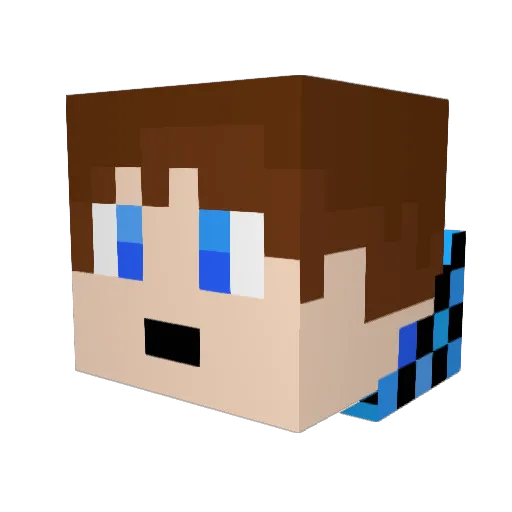 nolank12 Minecraft avatar head, 3D render