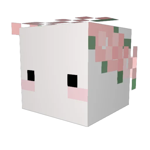 nolbuu_is_crazy Minecraft avatar head, 3D render