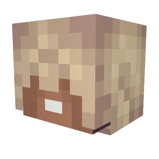 nole Minecraft avatar head, 3D render
