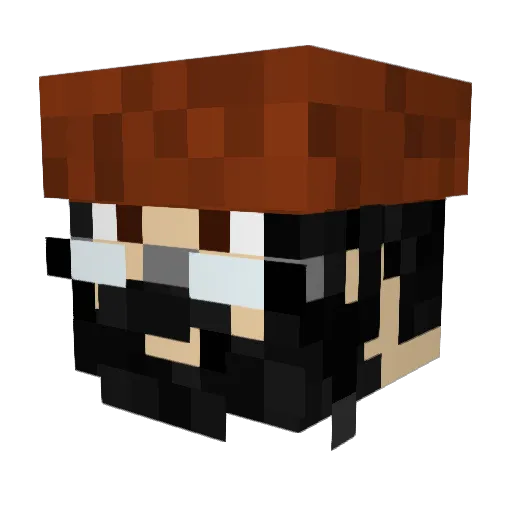noli9992 Minecraft avatar head, 3D render