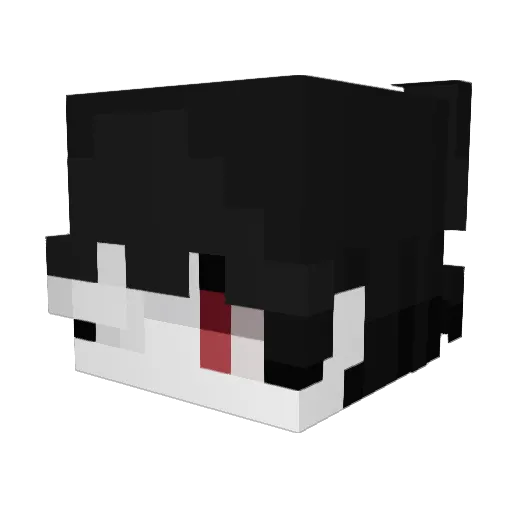 noli_z Minecraft avatar head, 3D render