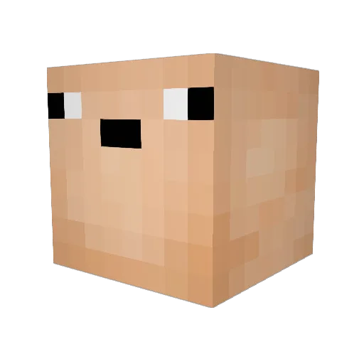 nolife1123 Minecraft avatar head, 3D render