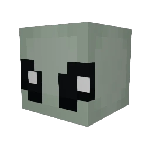 nolimitadot Minecraft avatar head, 3D render