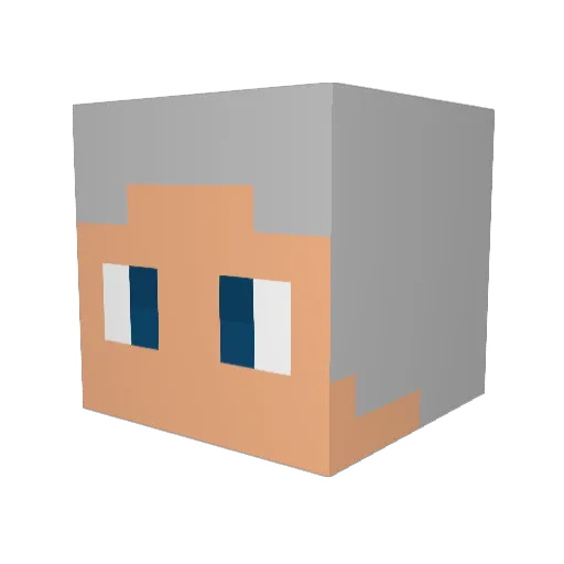 nolson2007 Minecraft avatar head, 3D render
