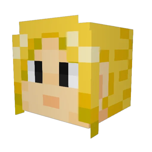 nom2011 Minecraft avatar head, 3D render