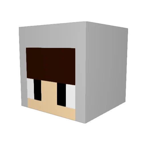 nom_ten Minecraft avatar head, 3D render