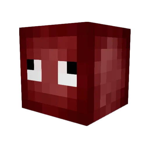nomad01 Minecraft avatar head, 3D render