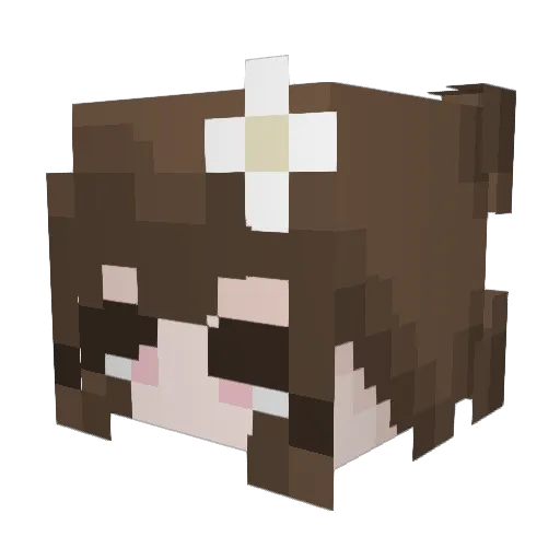 nomad_grappler Minecraft avatar head, 3D render