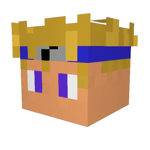 nomade2662 Minecraft avatar head, 3D render