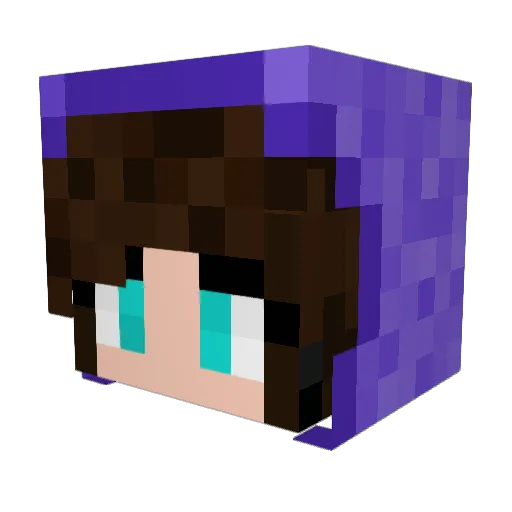 nomean2 Minecraft avatar head, 3D render