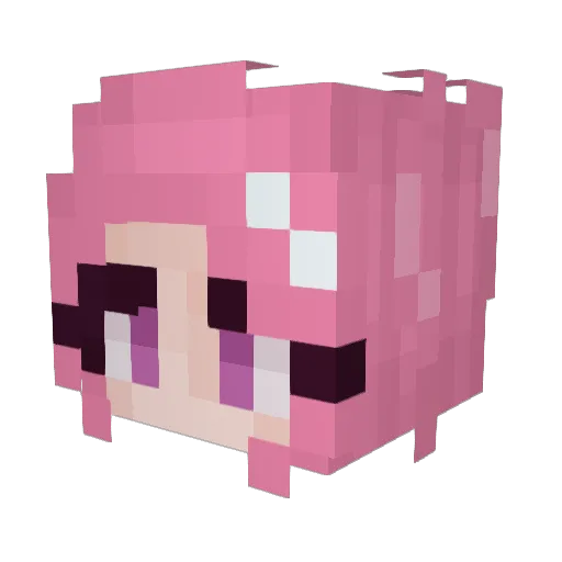 nomedigas Minecraft avatar head, 3D render