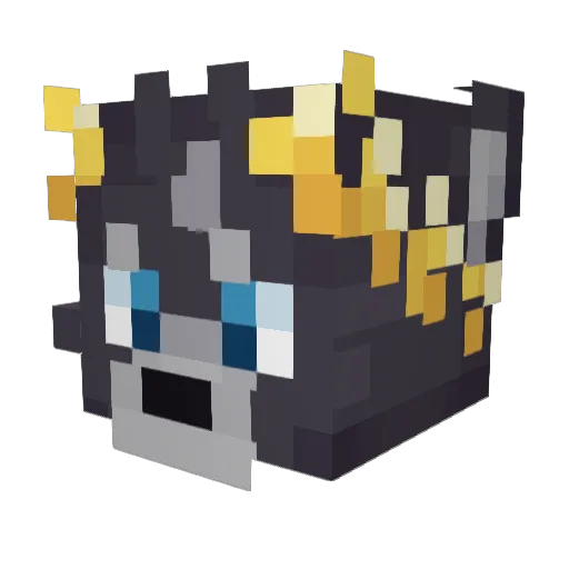 nomeimportalol Minecraft avatar head, 3D render