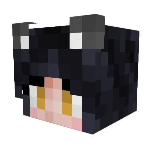nomen42 Minecraft avatar head, 3D render