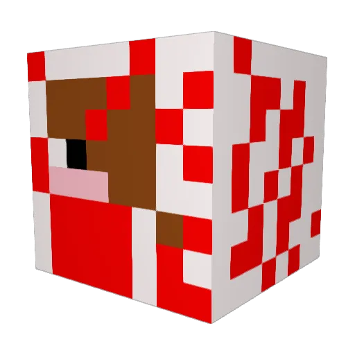 nomercy2005 Minecraft avatar head, 3D render