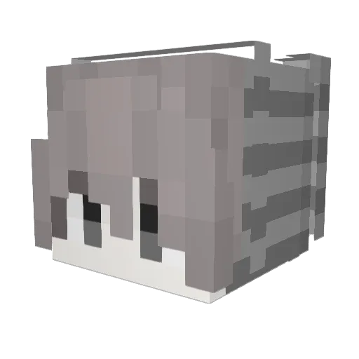 nomeroy Minecraft avatar head, 3D render