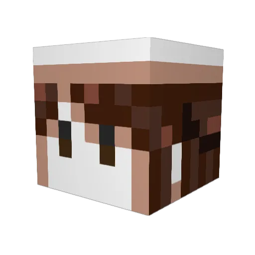 nomeu Minecraft avatar head, 3D render