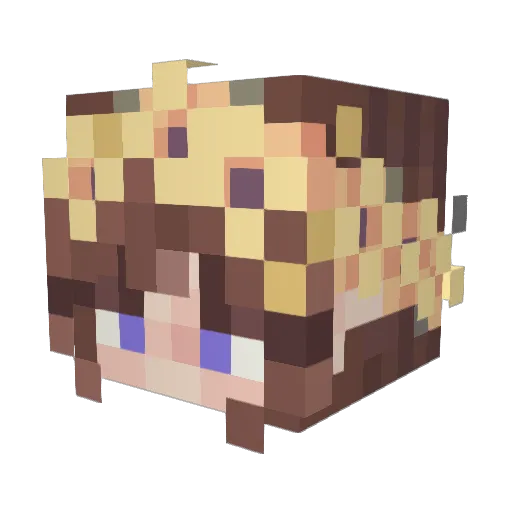 nomia8 Minecraft avatar head, 3D render