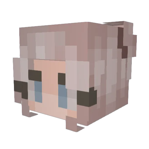nomie02 Minecraft avatar head, 3D render