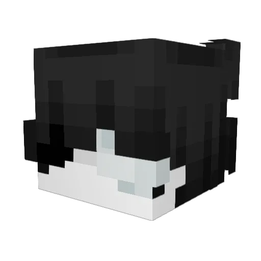 nomlka Minecraft avatar head, 3D render