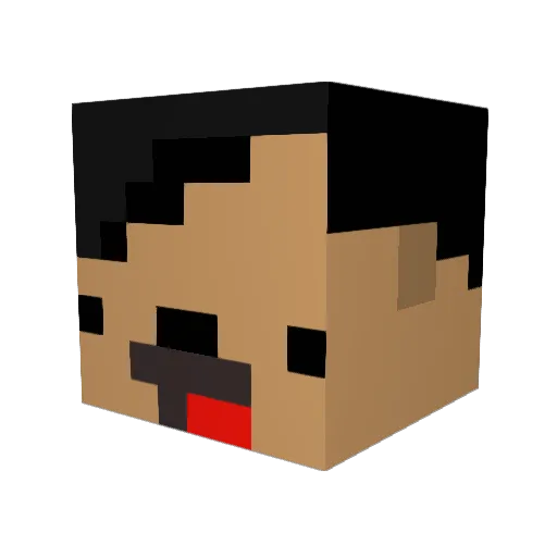 nomoney3 Minecraft avatar head, 3D render