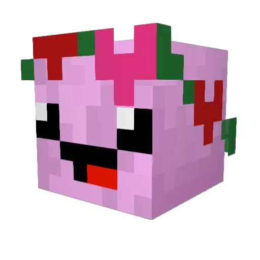 nomorefishplz Minecraft avatar head, 3D render