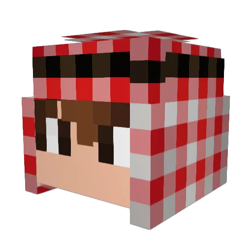 non1123 Minecraft avatar head, 3D render