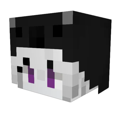nonBAC Minecraft avatar head, 3D render