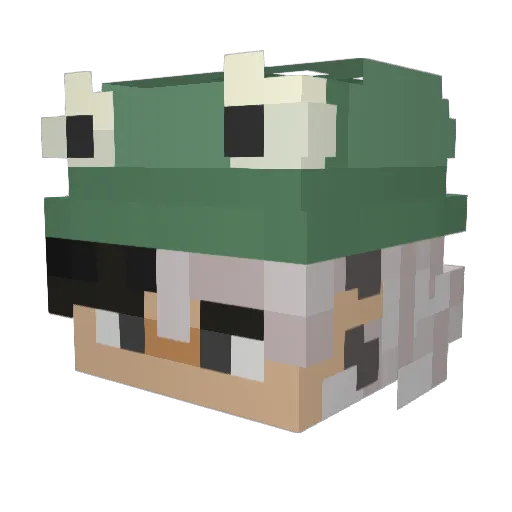 non_binary_hoe Minecraft avatar head, 3D render