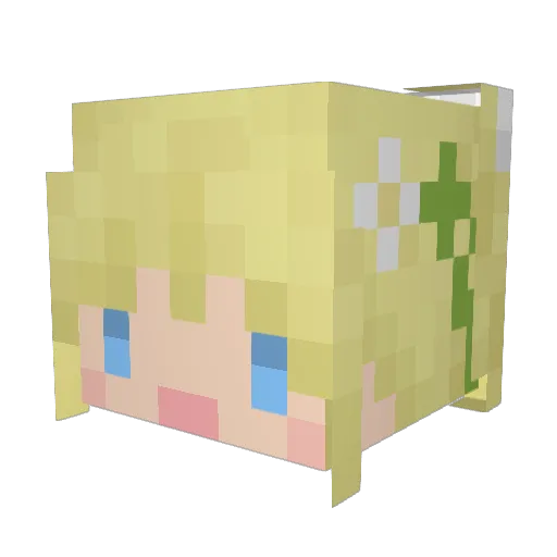 nonaS9 Minecraft avatar head, 3D render