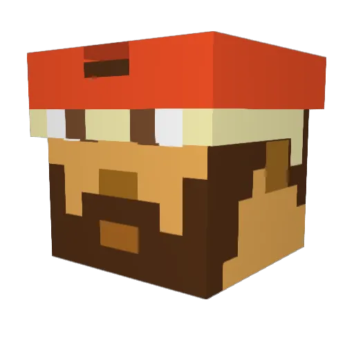 noname_Q Minecraft avatar head, 3D render