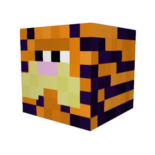 nonamebro5 Minecraft avatar head, 3D render