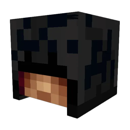 nonametwins Minecraft avatar head, 3D render