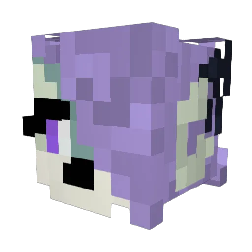 nonexxx5713 Minecraft avatar head, 3D render