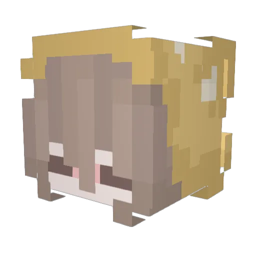 nonke6 Minecraft avatar head, 3D render