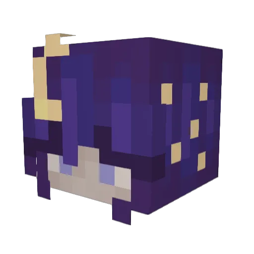 nonno71534 Minecraft avatar head, 3D render