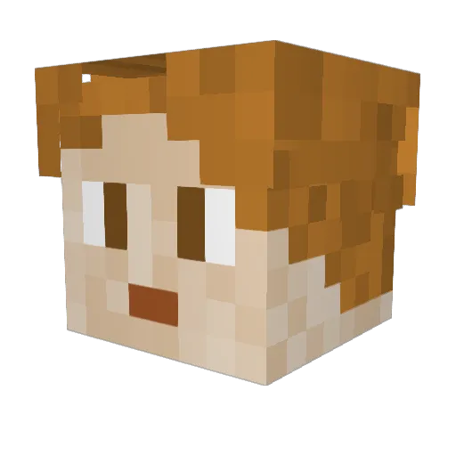 nono_8 Minecraft avatar head, 3D render