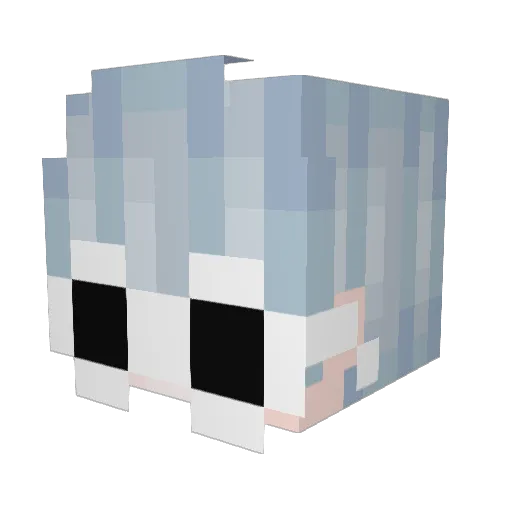 nonononopls Minecraft avatar head, 3D render