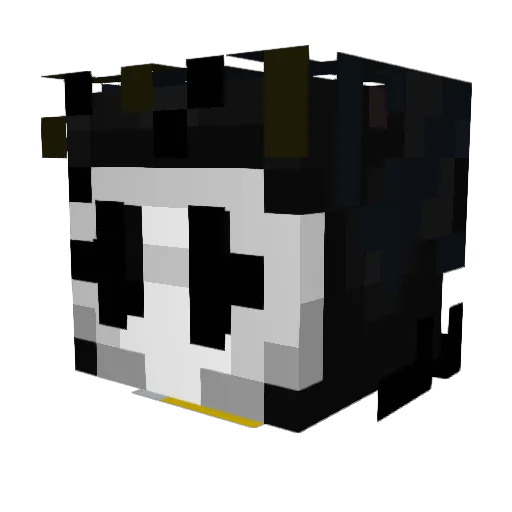 nonononoyesss Minecraft avatar head, 3D render