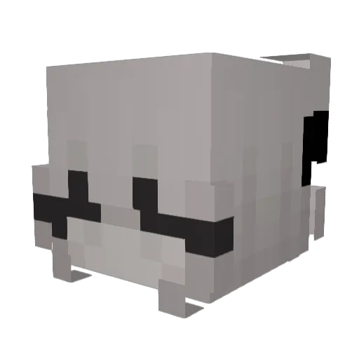 nonopolyy Minecraft avatar head, 3D render