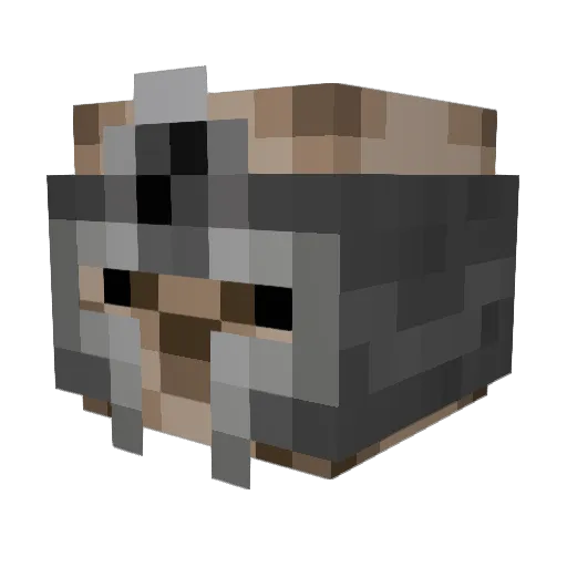 nonpcgamer2107 Minecraft avatar head, 3D render