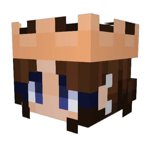 nonsenseisrain Minecraft avatar head, 3D render