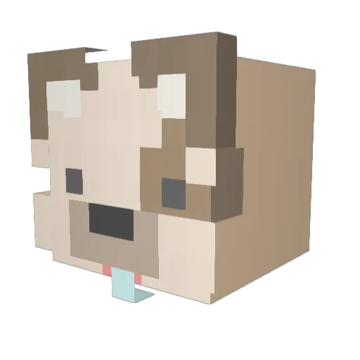 nonski Minecraft avatar head, 3D render