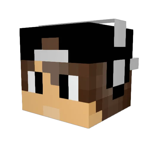 noob1ess Minecraft avatar head, 3D render