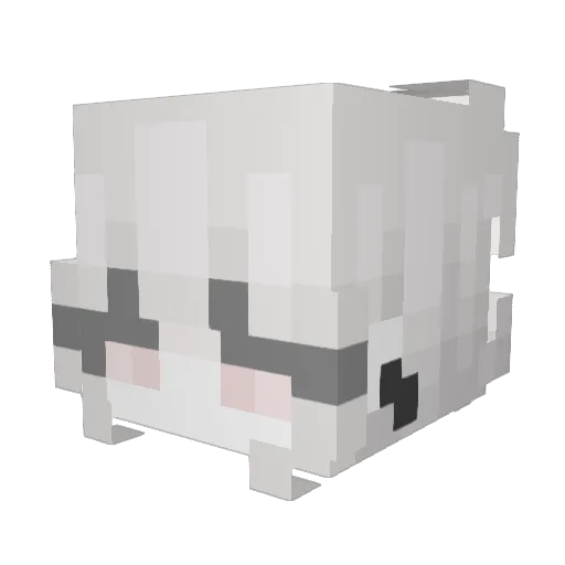 noob4353 Minecraft avatar head, 3D render