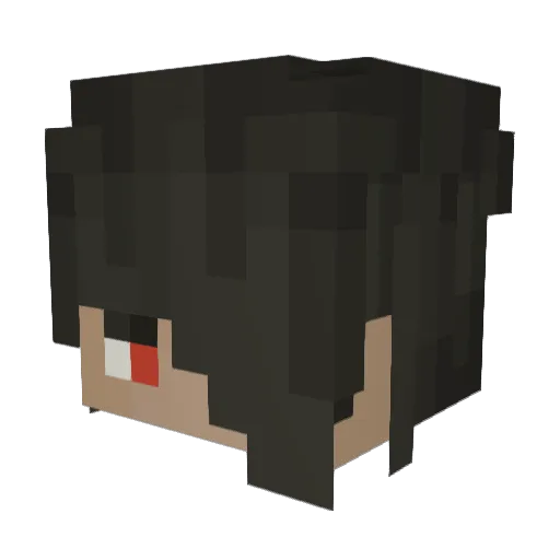 noob4656 Minecraft avatar head, 3D render
